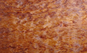 Bubinga Pomelle Wood Grain